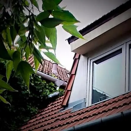 Apartment Apartman Krc